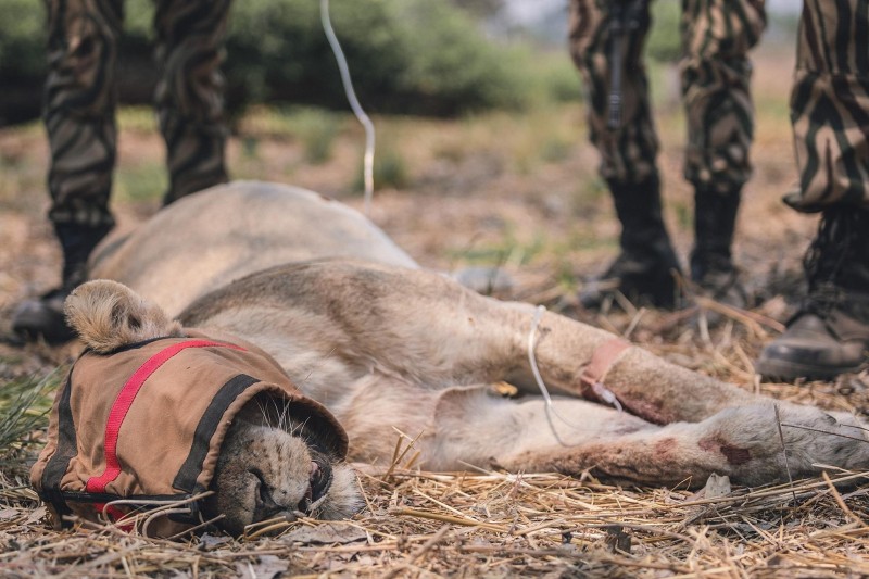 Nsumbu National Park—A Zambian Wilderness Reborn