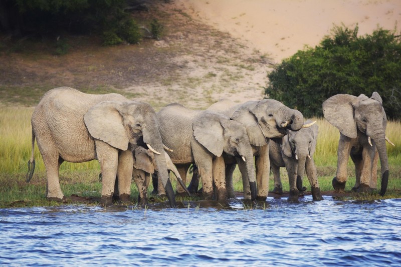 Nsumbu National Park—A Zambian Wilderness Reborn