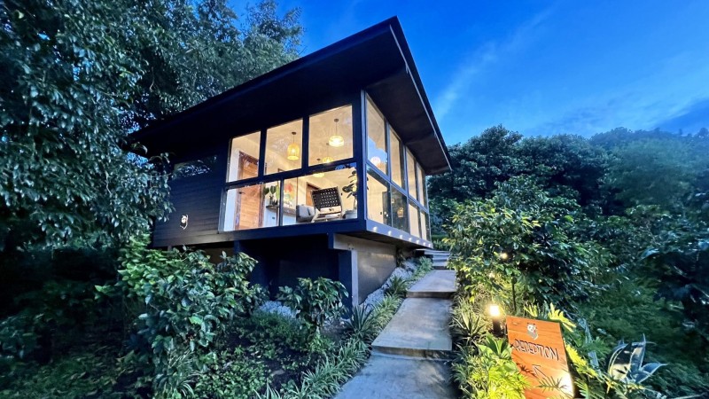 Panama’s Geisha Coffee Sets A Record Price. Its Source Is Worth A Trip