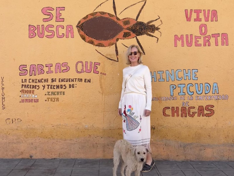 The 26 Best Trips For 2026, According To Travel Experts