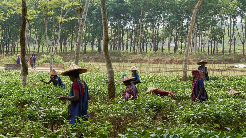 The Scented Road: Travel-Inspired Fragrances To Take You Places