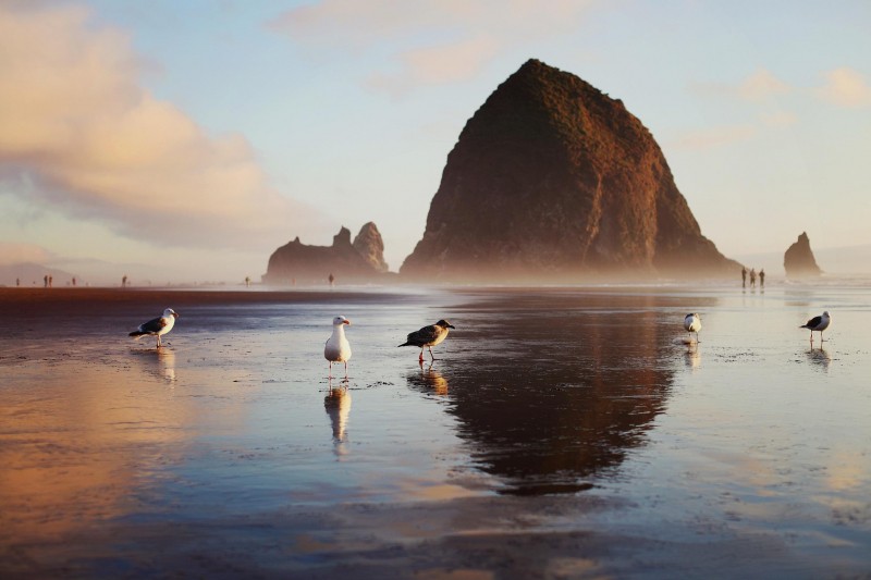 The World’s Most Beautiful Beaches 2025
