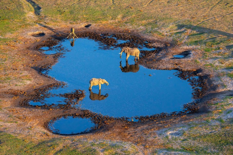 UHNWIs Opt For Safaris In Exclusive And Restricted Locations